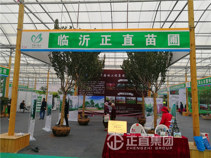 3499拉斯维加斯·(中国游)官方网站入口