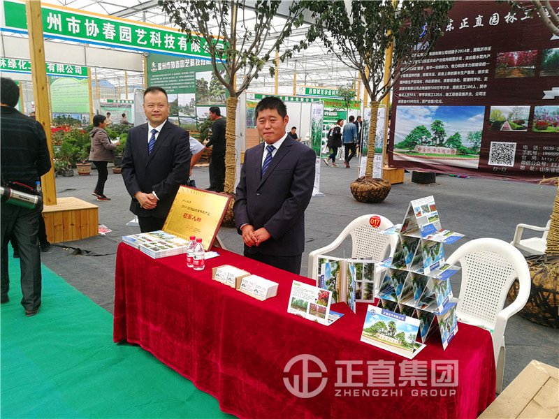 3499拉斯维加斯·(中国游)官方网站入口