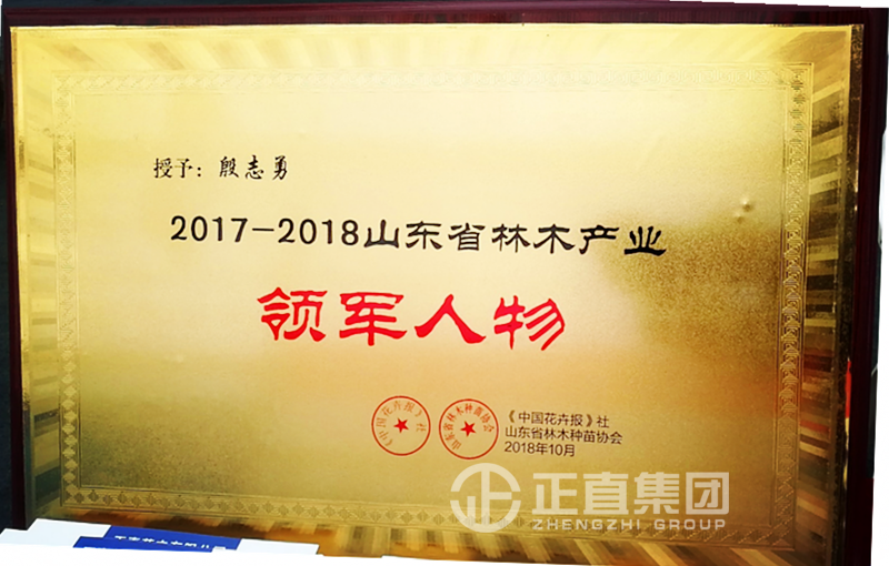 3499拉斯维加斯·(中国游)官方网站入口