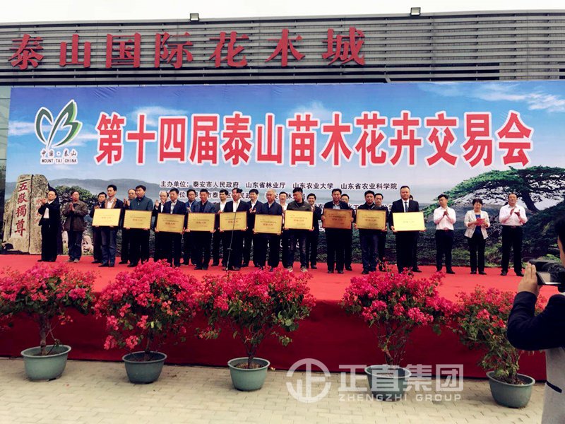 3499拉斯维加斯·(中国游)官方网站入口