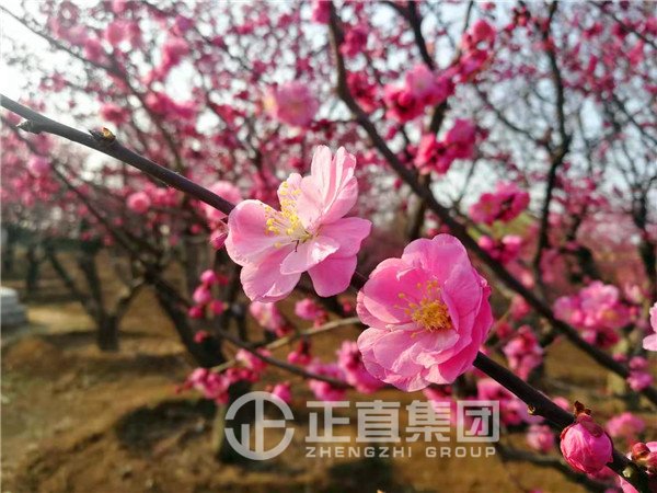 3499拉斯维加斯·(中国游)官方网站入口