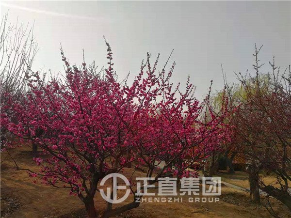 3499拉斯维加斯·(中国游)官方网站入口