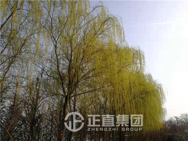 3499拉斯维加斯·(中国游)官方网站入口