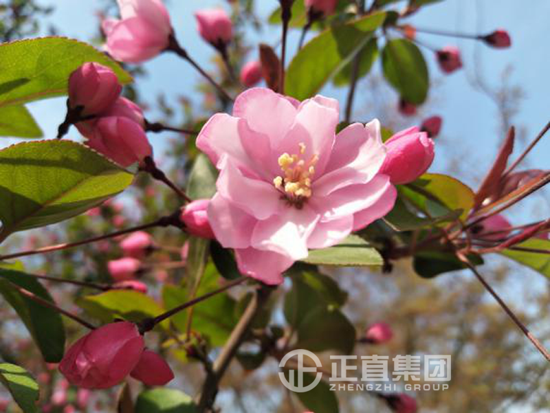 3499拉斯维加斯·(中国游)官方网站入口