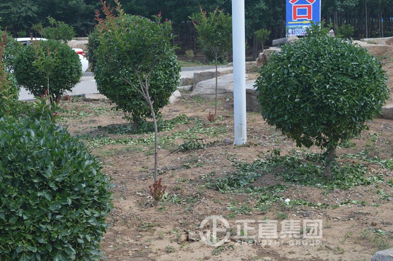 3499拉斯维加斯·(中国游)官方网站入口